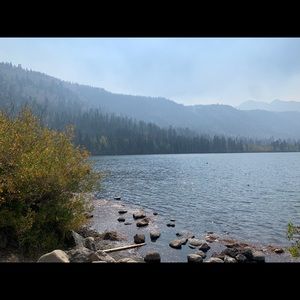 Meet your Posher, Vivian